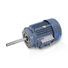 Dust Collector Motor